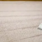 This is a photo of a cream rug which is being professionally steam cleaned.